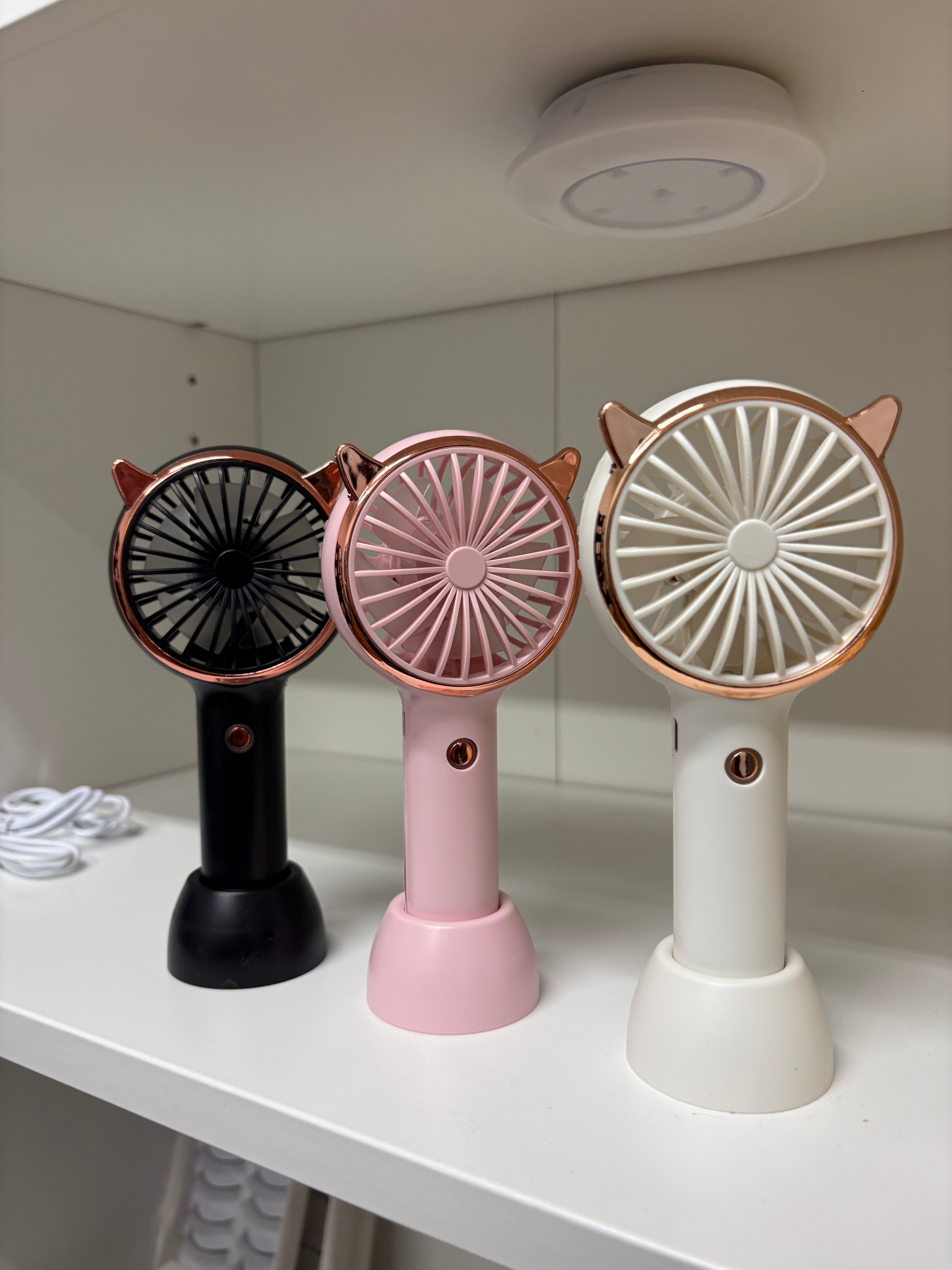 Lash Fan