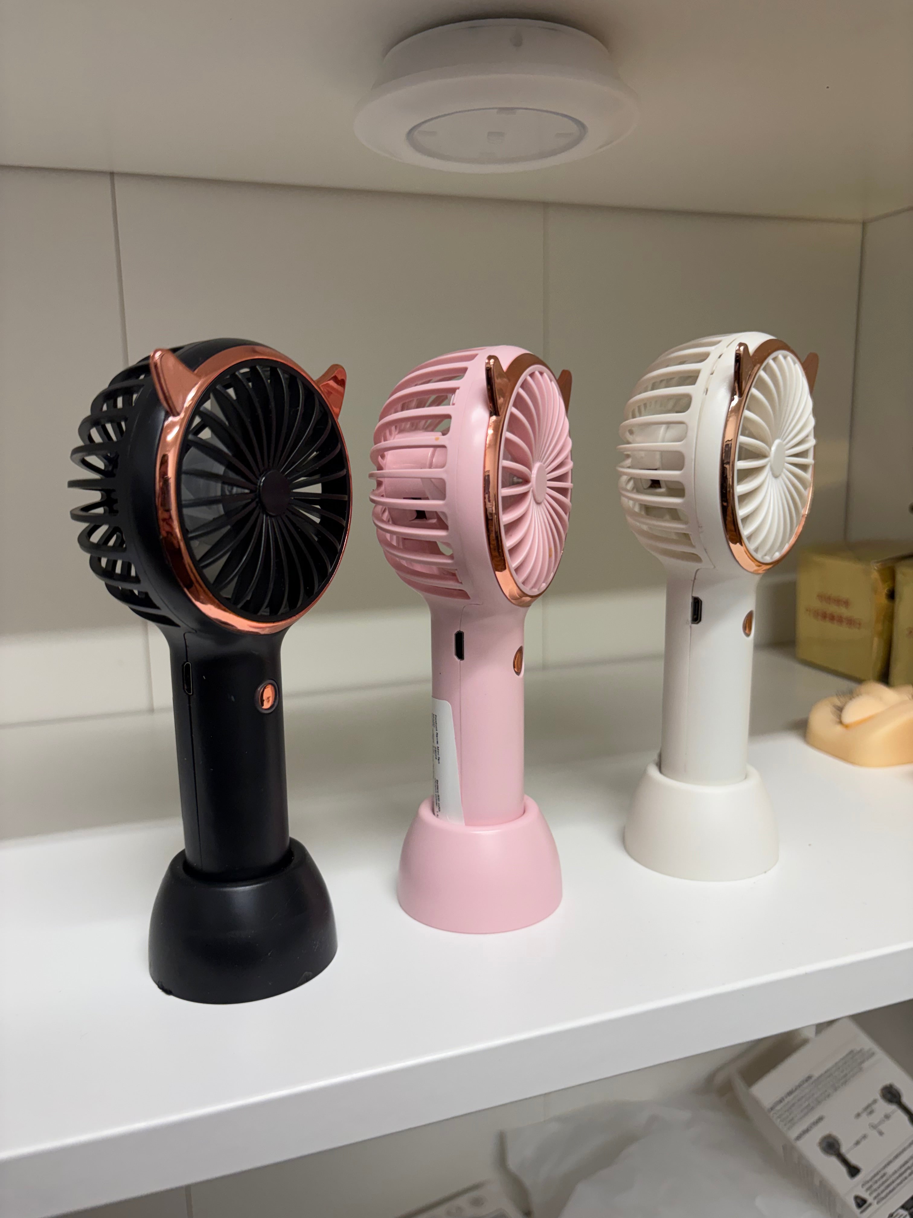 Lash Fan