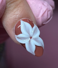 3D Gel 15g